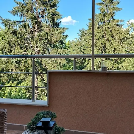 студио лидия Welingrad