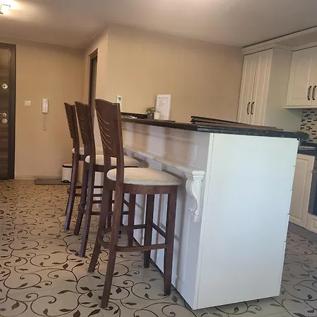 студио лидия Welingrad