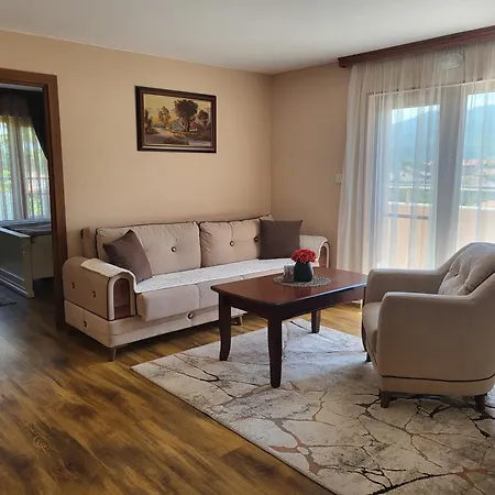 Apartment студио лидия Welingrad